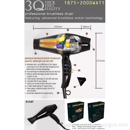 Ionic brushless hair dryer